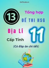Tổng hợp 13 đề thi HSG Địa lí Lớp 11 cấp Tỉnh (Có đáp án chi tiết)